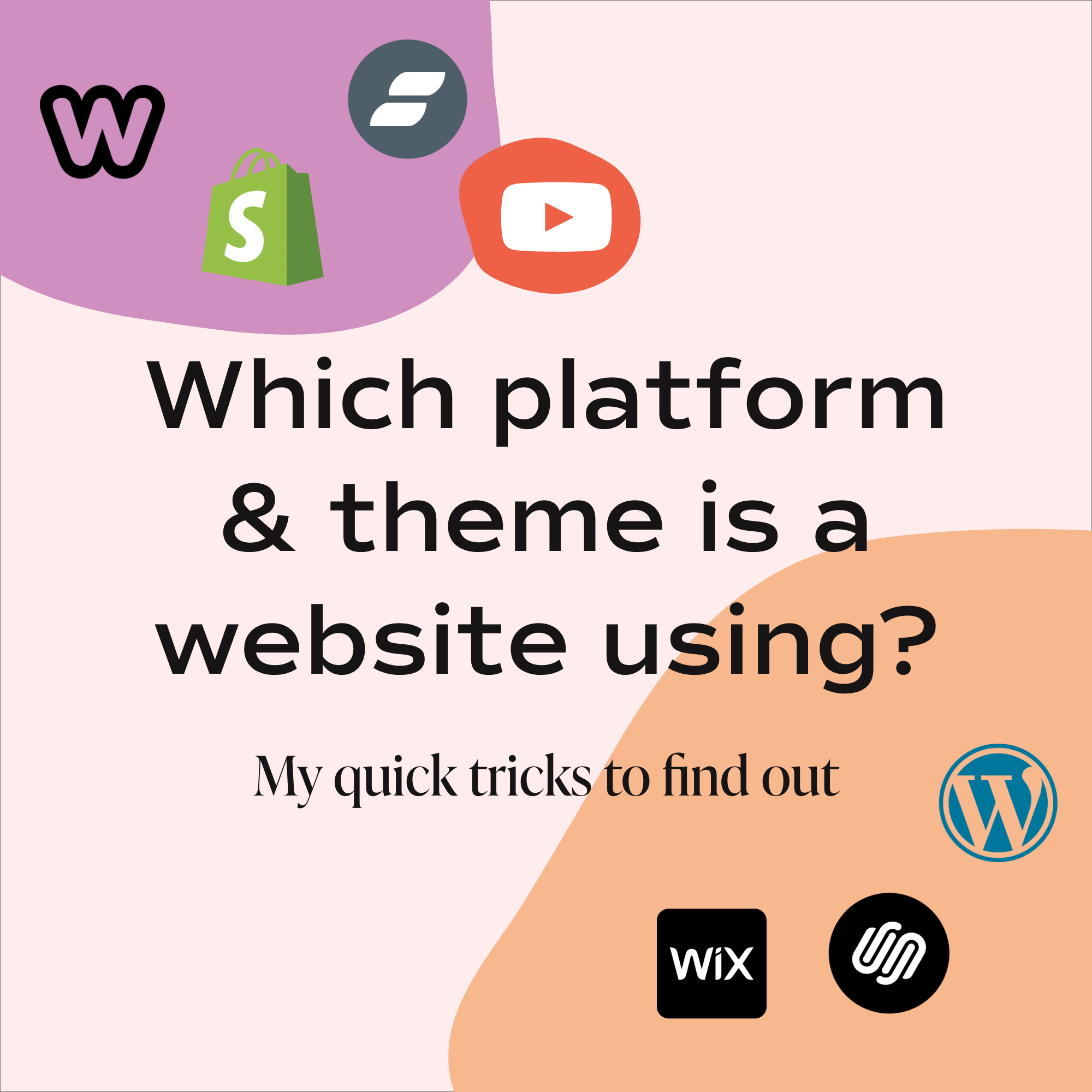 Which platform & theme is a website using?